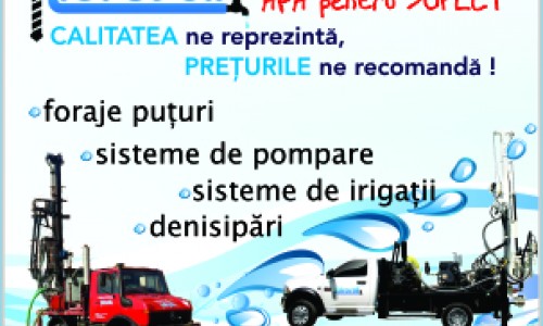 Tipuri de puțuri